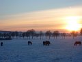 Winter1011 (48)